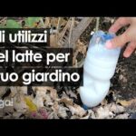 Muco in gola: scopri come si forma e come eliminarlo!