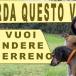Un’opportunità senza confini: vendita terreno agricolo di 100 ettari per coltivare il tuo successo
