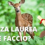 7 Lavori Secondari per Arrotondare il Tuo Stipendio: Idee Creative per Guadagnare Extra