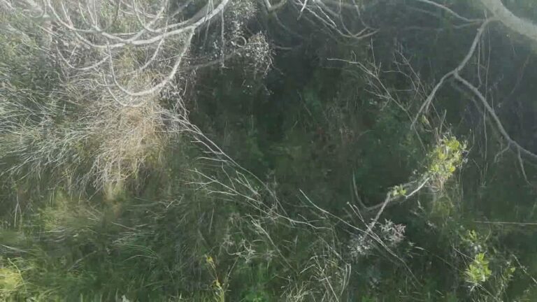 Il mistero del rudere affacciato sul mare: la magia della Sardegna