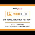 Risparmia carburante: calcolo gasolio per km per viaggiare in modo intelligente