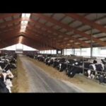 Restituzione di Somme Indebite: L’Arricchimento Inaspettato