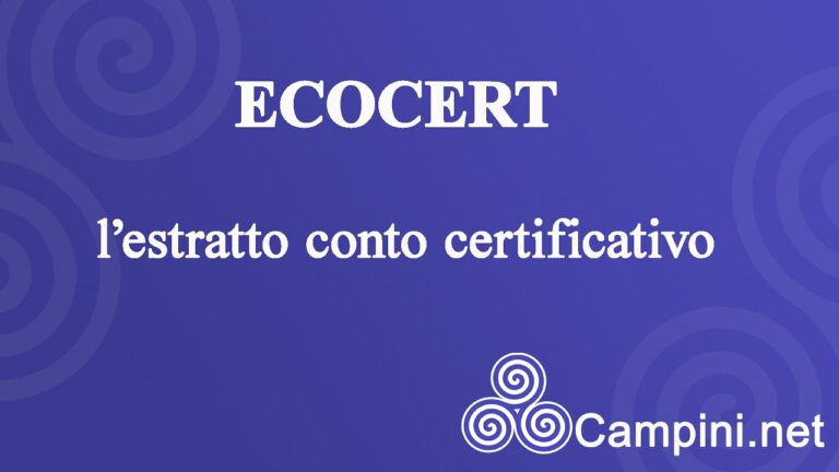 Estratto Conto Certificativo INPS: Guida Completa al Suo Utilizzo