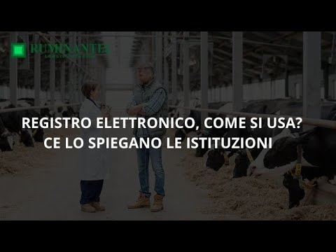 Codice 1631 a credito: Scopri come ottenere denaro extra senza sforzo!