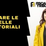 Scopri le nuove regole delle Partite IVA Comunitarie: l’Agenzia delle Entrate svela tutti i dettagli!