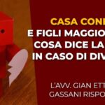 Art 2 comma 26 legge 335/95: Il diritto controverso che potrebbe cambiare la vita
