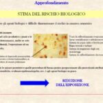 La pausa sul lavoro: tutto ciò che devi sapere sul diritto dopo X ore di lavoro