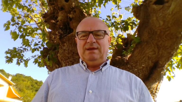 Società semplice agricola: il successo delle imprese tradizionali