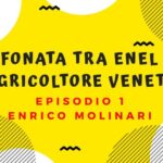 Il dilemma della ricongiunzione onerosa: impatti sui dipendenti pubblici