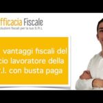 La deducibilità dei contributi Enasarco per le società di capitali: opportunità da non perdere!