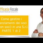 Allergia al cipresso: come affrontare il periodo di fioritura?