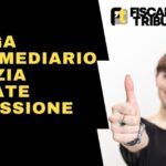 Scopri come ottenere il massimo vantaggio fiscale con il bonifico 110: guida dell’Agenzia delle Entrate
