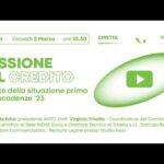 Piccola vs Media impresa: quale modello di business trionferà?