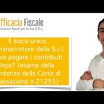 Società semplice agricola: il successo delle imprese tradizionali