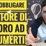 Il significato dell’imponibile nella busta paga: tutto ciò che devi sapere!