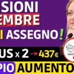 La pensione degli artigiani: scopri l’importo minimo garantito