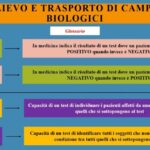 Acqua divertente a portata di finanziamento: scopri i nuovi incentivi per i parchi acquatici!