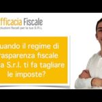 L’evasione fiscale annua in Italia: un fenomeno che costa caro!