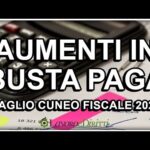 Il significato dell’imponibile nella busta paga: tutto ciò che devi sapere!