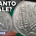 Bava di Lumache: la Rivoluzione dei Guadagni!