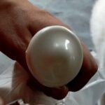 Il vantaggio del vaglia circolare non trasferibile: tutela dalla frode