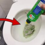 Rubinetto difettoso? Scopri perché esce solo acqua calda!