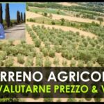 Boom degli investimenti: scopri il valore del terreno industriale al mq!