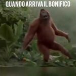 La nuova era di Virgilio Mail: quanto dobbiamo aspettare?