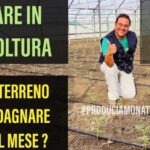 Boom degli investimenti: scopri il valore del terreno industriale al mq!