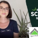 Comodato d’uso gratuito: scopri come ottenere un vantaggio giuridico in soli 5 minuti