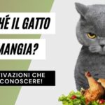 Noleggio Ferrari da Privato: Vivi L’Esperienza Del Lusso a Trazione