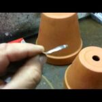 Buste speciali per gli amanti dei libri: spedisci i tuoi tesori letterari in modo sicuro e conveniente!