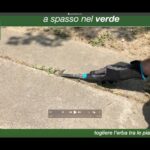 Scandalo! Trani sotto choc: sesso sul lungomare sconvolge la tranquillità