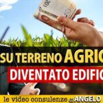 Boom degli investimenti: scopri il valore del terreno industriale al mq!
