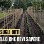 Boom degli investimenti: scopri il valore del terreno industriale al mq!