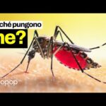 Polizze Ramo 1: la guida essenziale per una protezione finanziaria completa