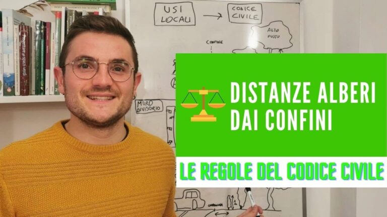 La distanza degli alberi dal confine secondo il Codice Civile: Linee guida essenziali