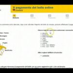 Risparmia tempo e stress: paga il bollo auto online a Torino!