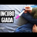 Congedo matrimoniale: quando inizia e come gestirlo efficacemente