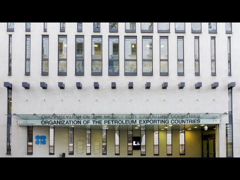 La sorprendente ricompensa post-dimissioni: il premio produzione che fa la differenza!