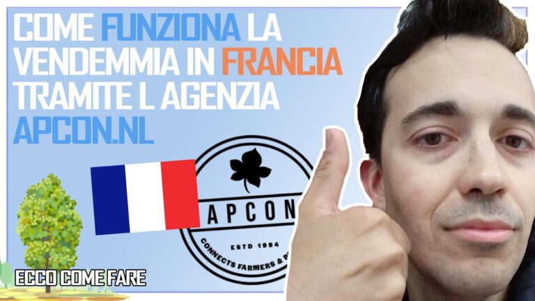 Conad: il connubio perfetto tra la tradizione italiana e l’eleganza francese