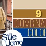 Scopri i VIBRANTI Tipi di Marrone per Esaltare la Tua Palette di Colori