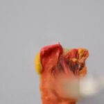 Abbinamento sorprendente: come il blu e il marrone si fondono alla perfezione