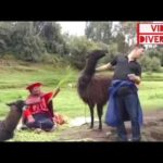 Sbrigati! Scopri come ottenere il rimborso Zara in negozio: guida completa in 70 caratteri