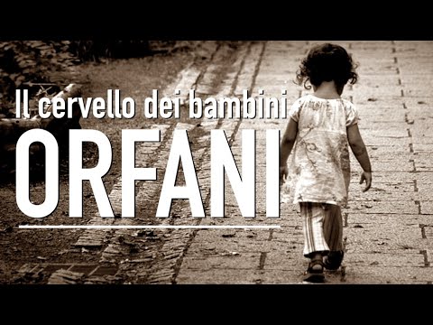 Esperimento sconvolgente: i tragici effetti di una infanzia senza affetto