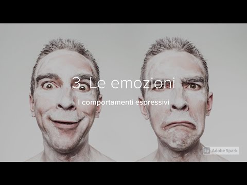 I segreti delle espressioni facciali: rivelano le emozioni primarie