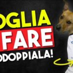 Ansia da lavoro: strategie efficaci per contrastarla