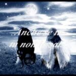 10 Frasi sull’Amore Perduto che Ti Raggiungeranno dritto al Cuore