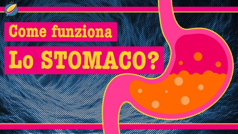 Lo stomaco: scopri perché provoca fastidi e come evitarli