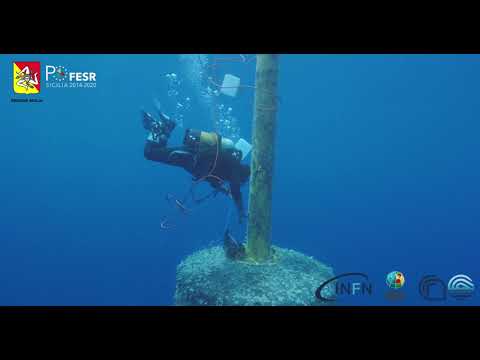 Un viaggio affascinante: lo studio delle profondità marine svela misteri sconosciuti